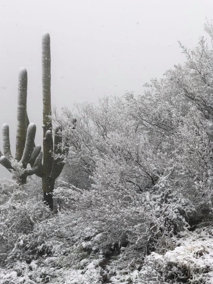Snow in Tucson